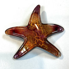Load image into Gallery viewer, French Starfish Large Barrettes
