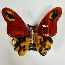 Load image into Gallery viewer, Large Tortoise Monarch Butterfly Jaw
