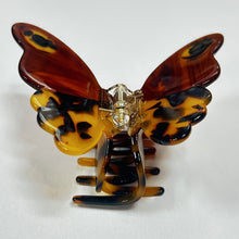 Load image into Gallery viewer, Large Tortoise Monarch Butterfly Jaw
