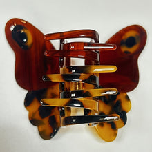 Load image into Gallery viewer, Large Tortoise Monarch Butterfly Jaw
